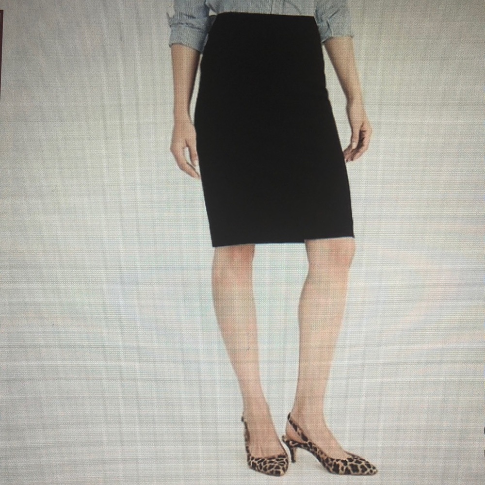 J Crew skirt